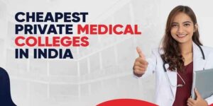 low fees medical colleges