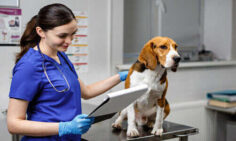 Top Private Veterinary Colleges in India with fees & Cutoff NEET 2025 private veterinary