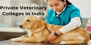 private veterinary colleges in india