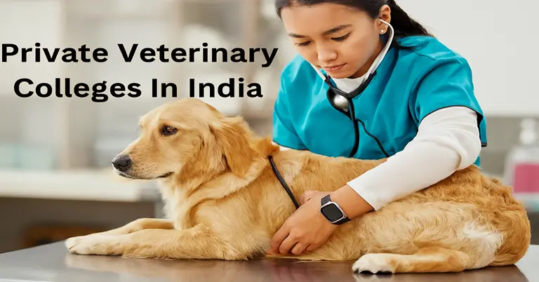 private veterinary colleges in india